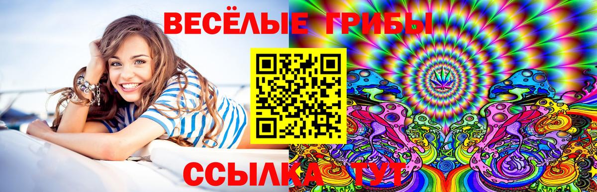сколько стоит  Вход с VPN  Вязьма  Псилоцибиновые грибы GOLDEN TEACHER  Псилоцибиновые грибы GOLDEN TEACHER 